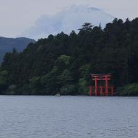 IMG_5178.JPG