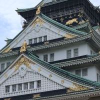 IMG_6241.JPG
