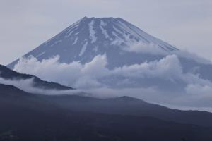 A - Fuji-san!