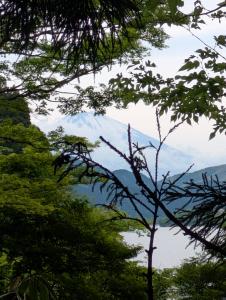 B - Mt. Fuji peeking through the trees over Lake Ashi.